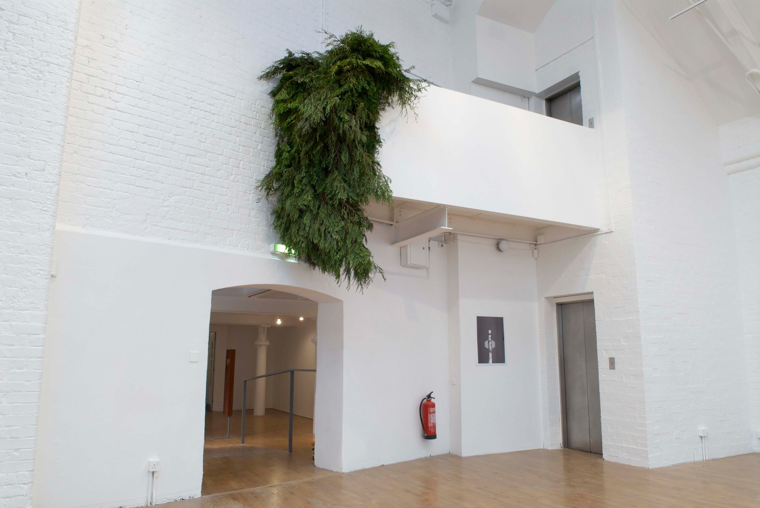 Installation view of works by Trisha Donnelly