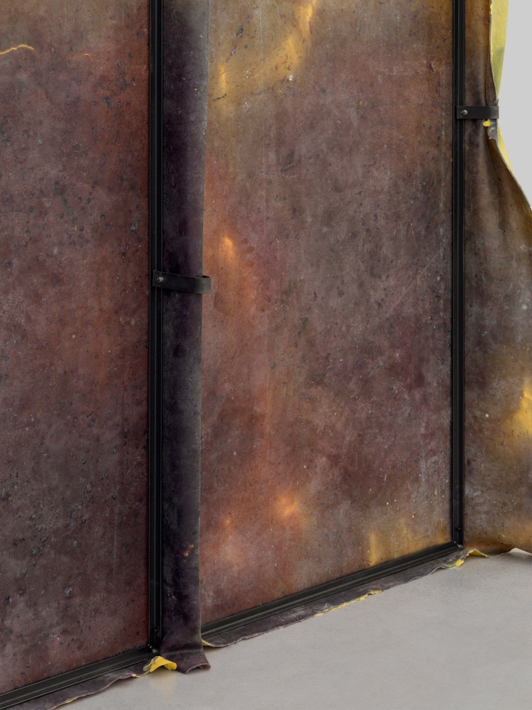 Crush 3

2025

Metal, latex, pigment, talcum

300 x 200 x 30 cm / 118 1/8 x 78 3/4 x 11 3/4 in

&amp;copy; Liesl Raff