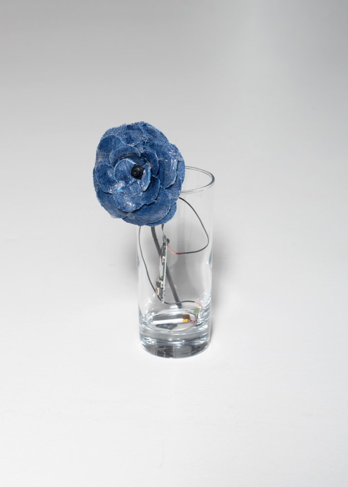 art work by lorenza longhi