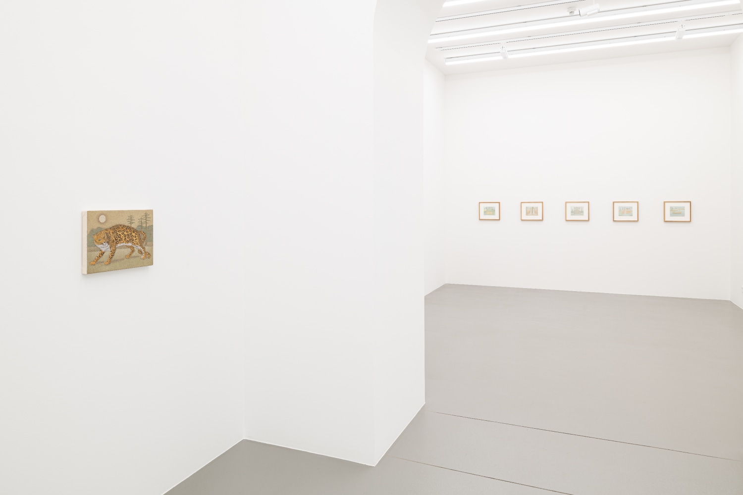 installation view John Dilg