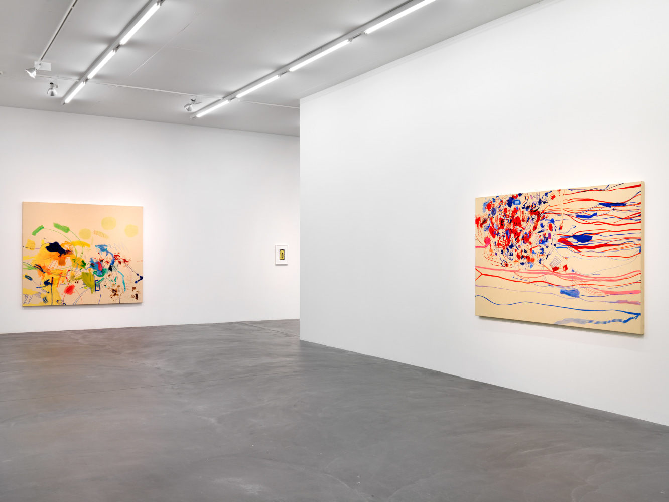Installation view of Sue Williams painting exhibition