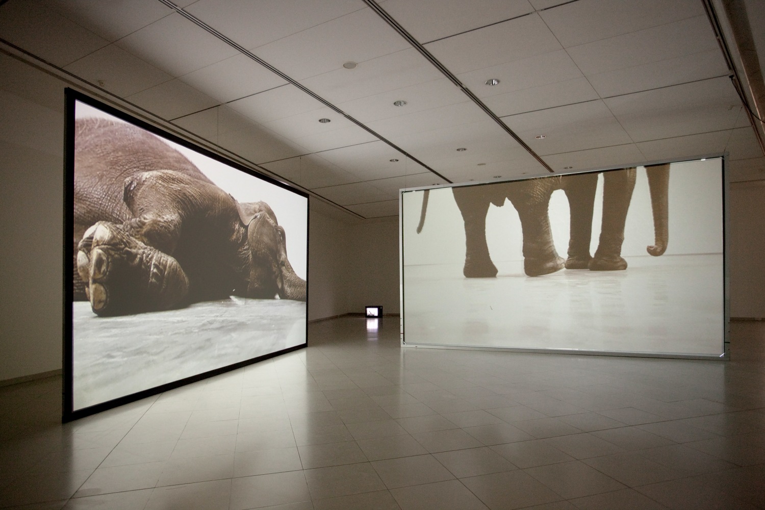 Installation view of video work by Douglas Gordon