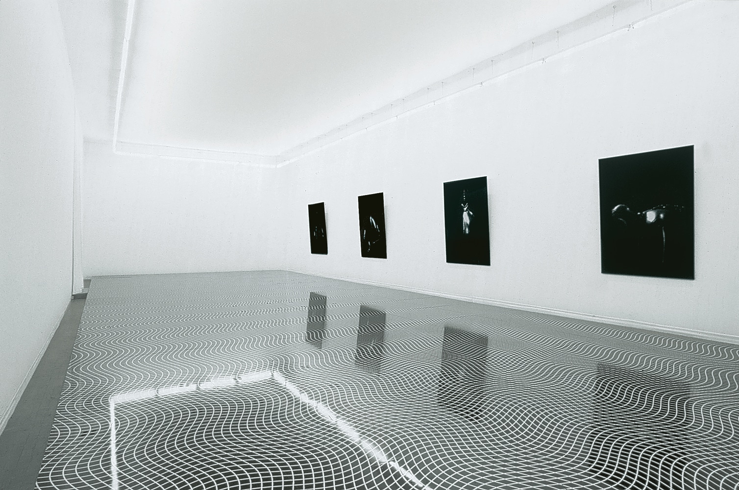 Installation view of paintings by Ugo Rondinone