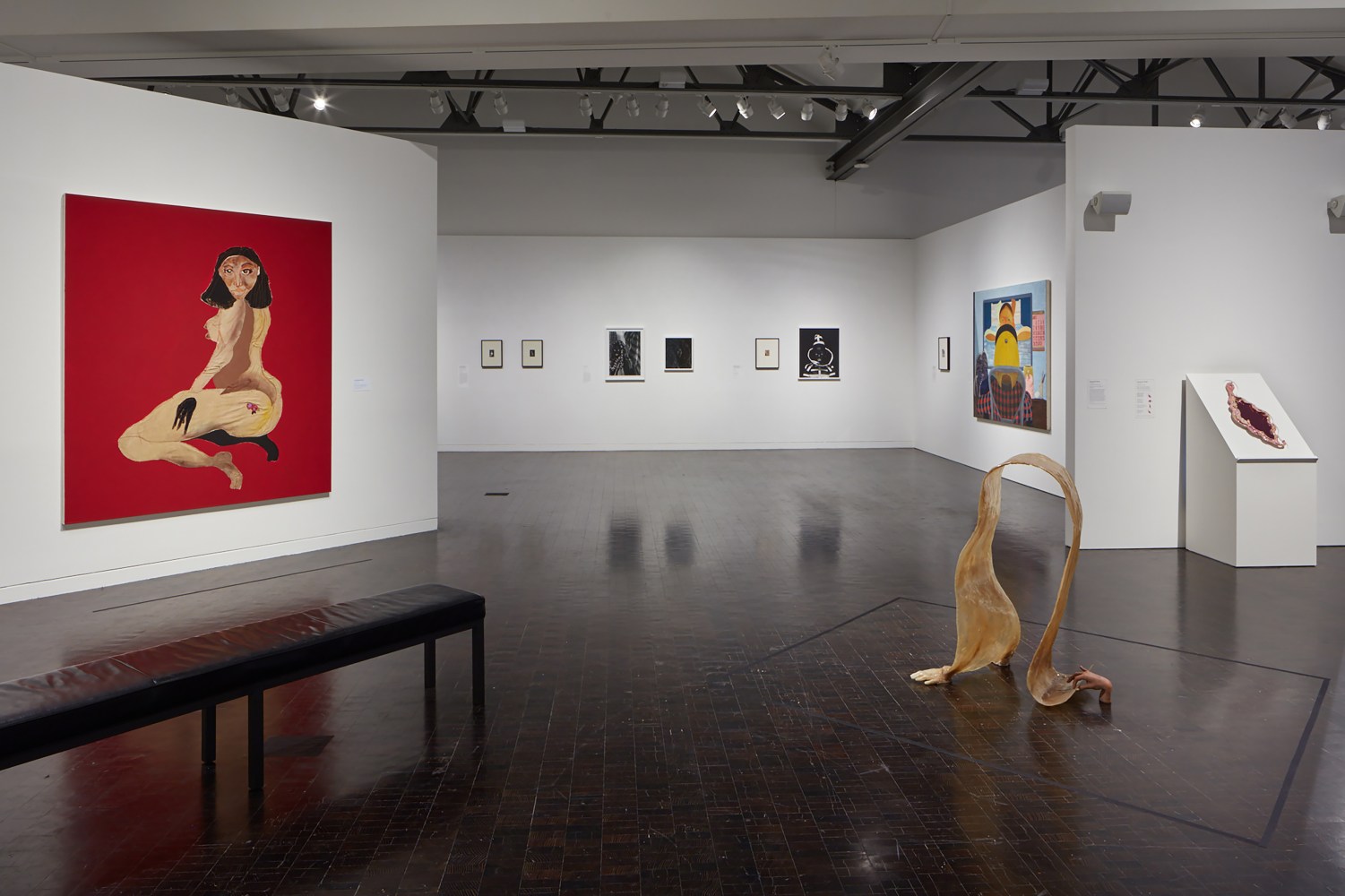Installation view of paintings by Tschabalala Self