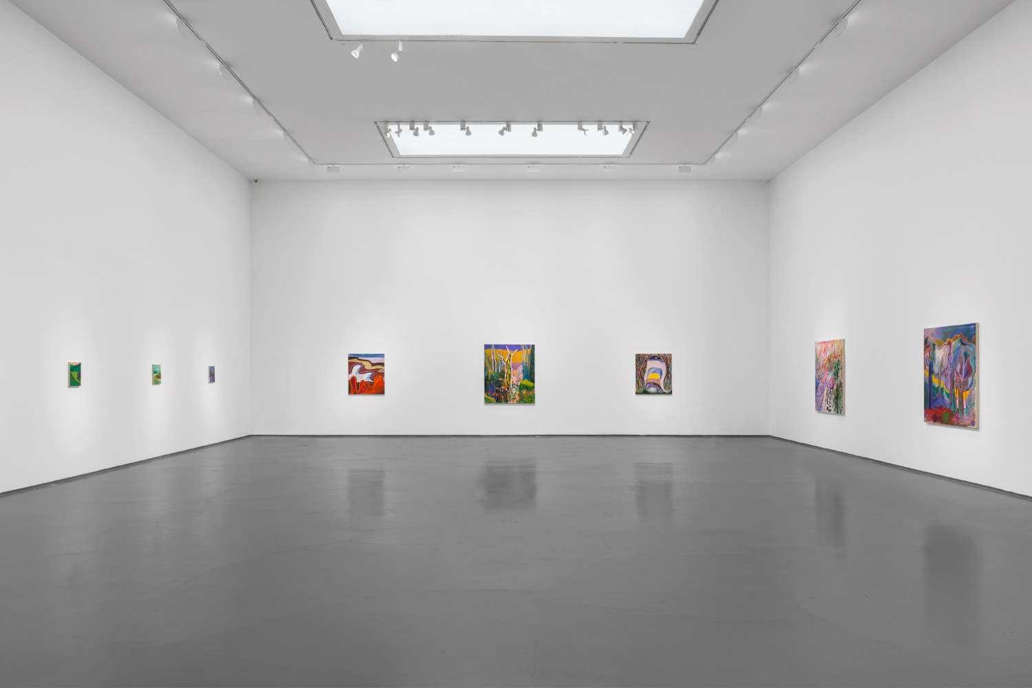 Installation view of Paintings by Shara Hughes