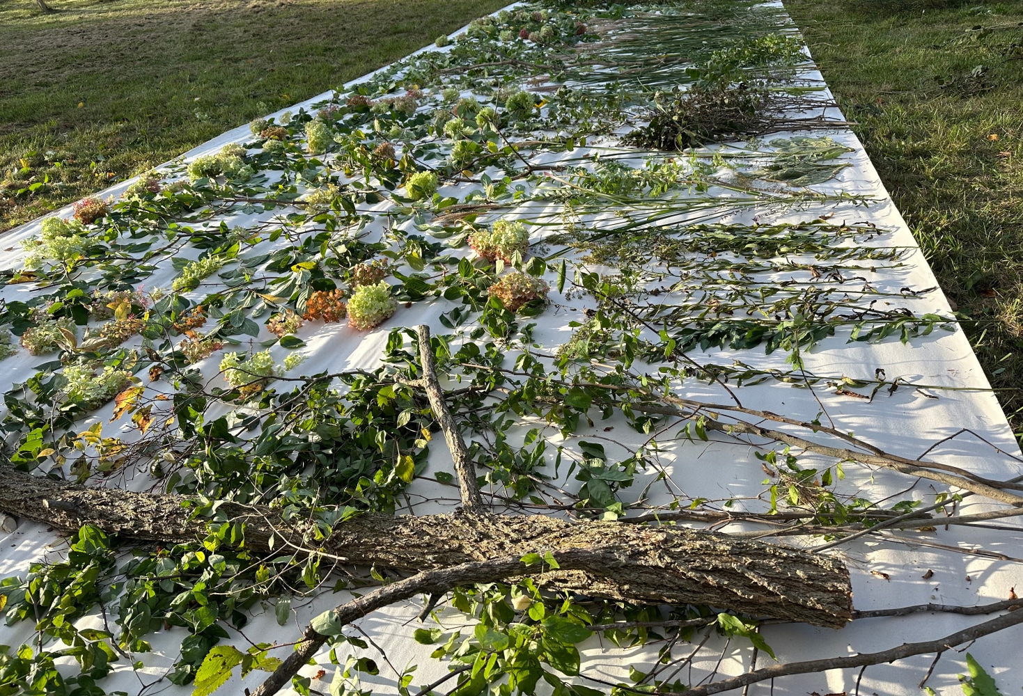 Spring to Fall&amp;nbsp;(process image)

2023

Pigment on canvas

4572 x 366 cm / 1800 x 144 in

&amp;copy; Sam Falls