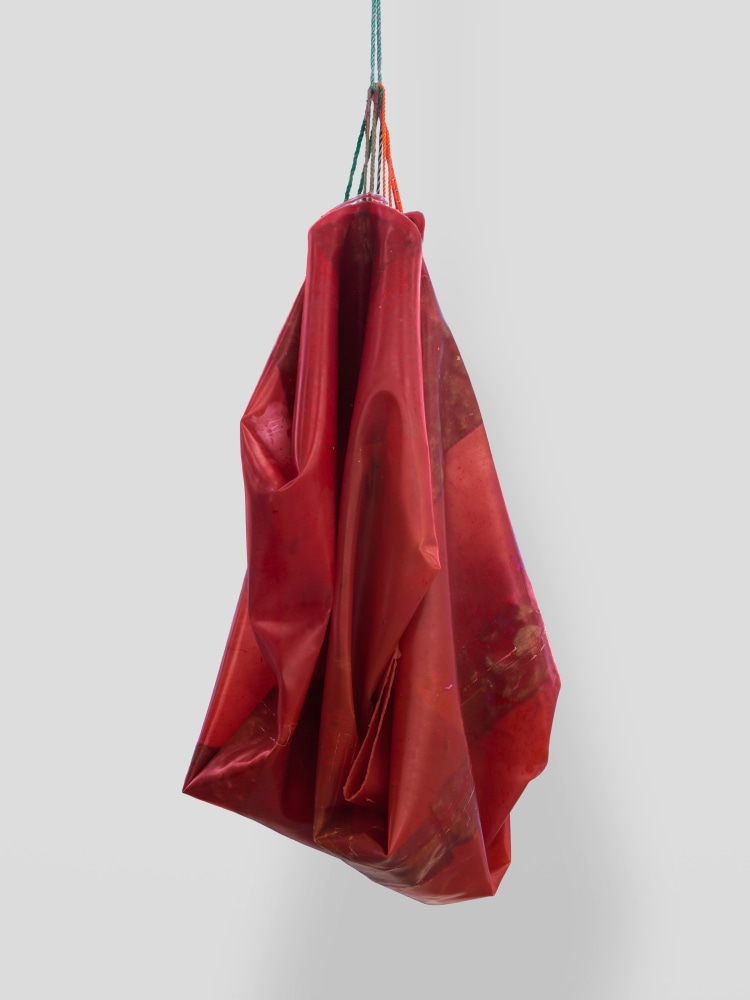 Den 4

2025

Latex, rope, jute, silicone oil

210 x 101 x 64 cm / 82 5/8 x 39 3/4 x 25 1/4 in

&amp;copy; Liesl Raff