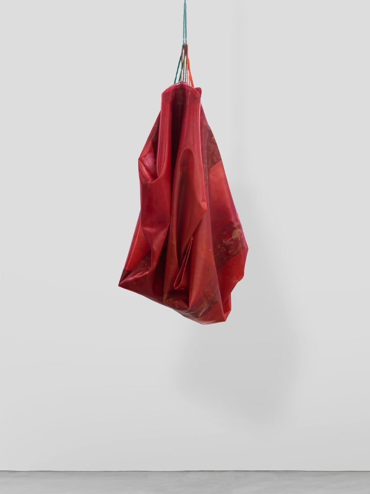 Den 4

2025

Latex, rope, jute, silicone oil

210 x 101 x 64 cm / 82 5/8 x 39 3/4 x 25 1/4 in

&amp;copy; Liesl Raff