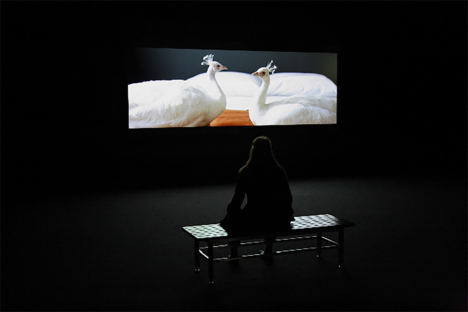 Installation view of Works by Doug Aitken