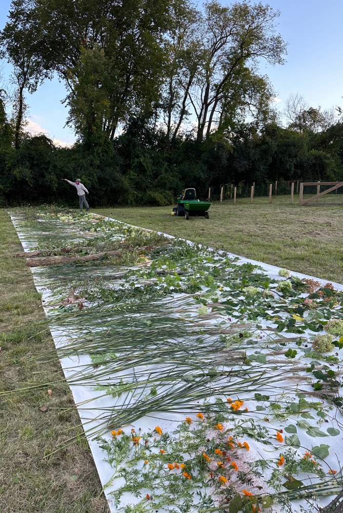 Spring to Fall&amp;nbsp;(process image)

2023

Pigment on canvas

4572 x 366 cm / 1800 x 144 in

&amp;copy; Sam Falls