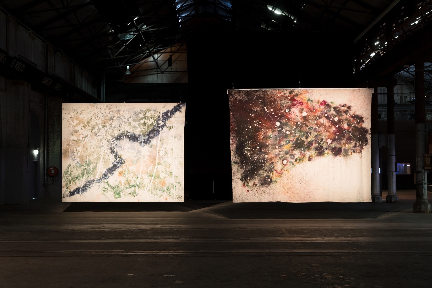 Installation view of paintings by Sam Falls