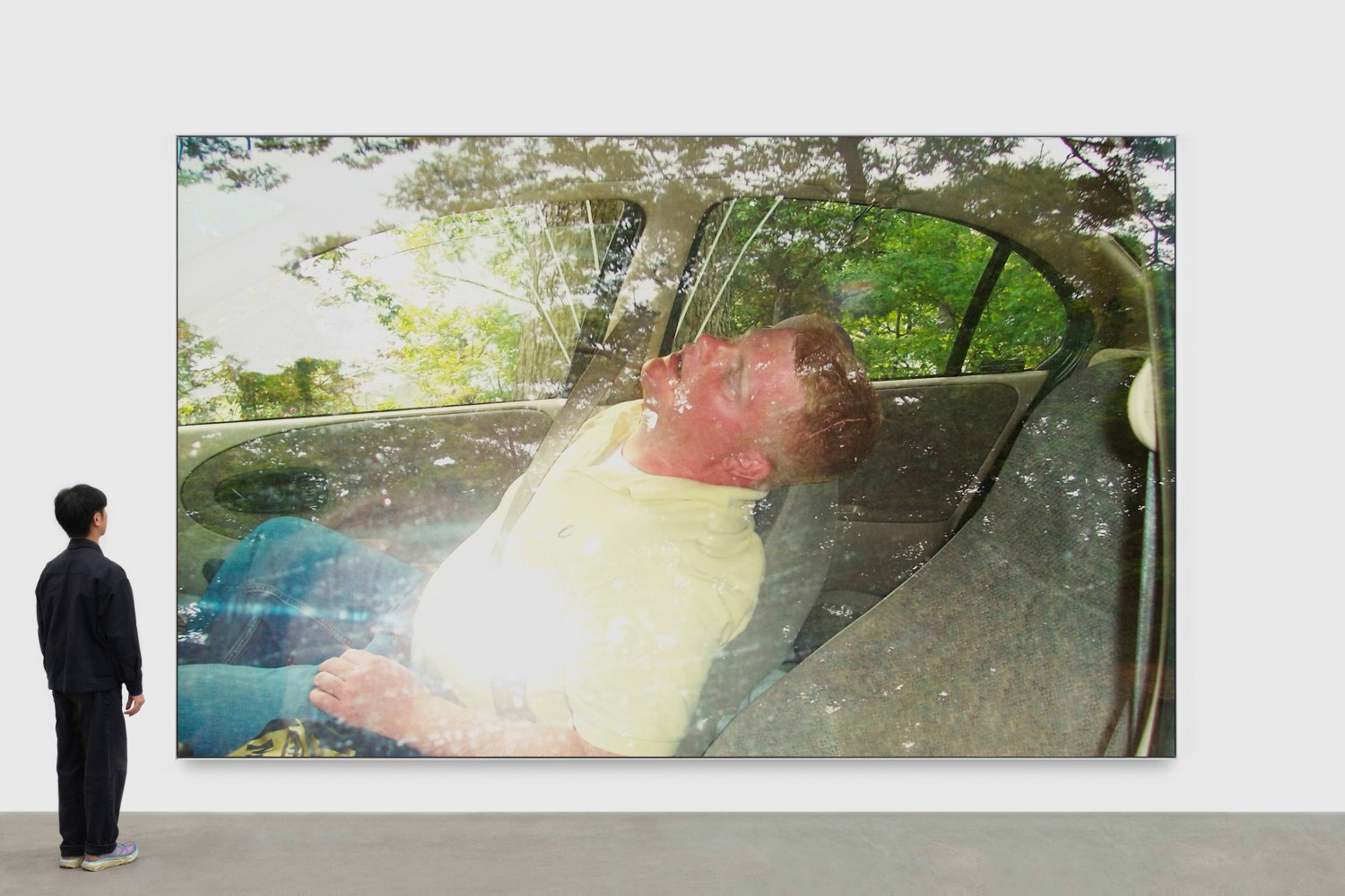 On Reflection

2025

UV print on canvas; framed

Unique

Image 296 x 443 cm / 116 1/2 x 174 1/2 in

Frame 298.5 x 446 cm / 117 5/8 x 175 5/8 in

&amp;copy; Steven Shearer