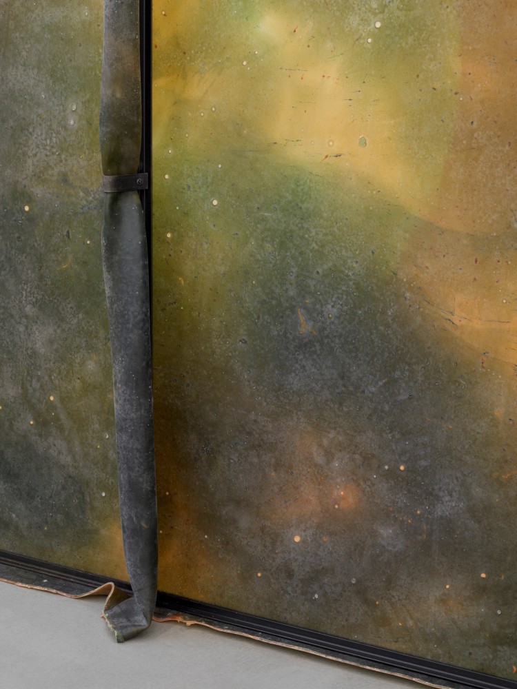 Crush 2

2024

Metal, latex, pigment, talcum

300 x 200 x 30 cm / 118 1/8 x 78 3/4 x 11 3/4 in

&amp;copy; Liesl Raff