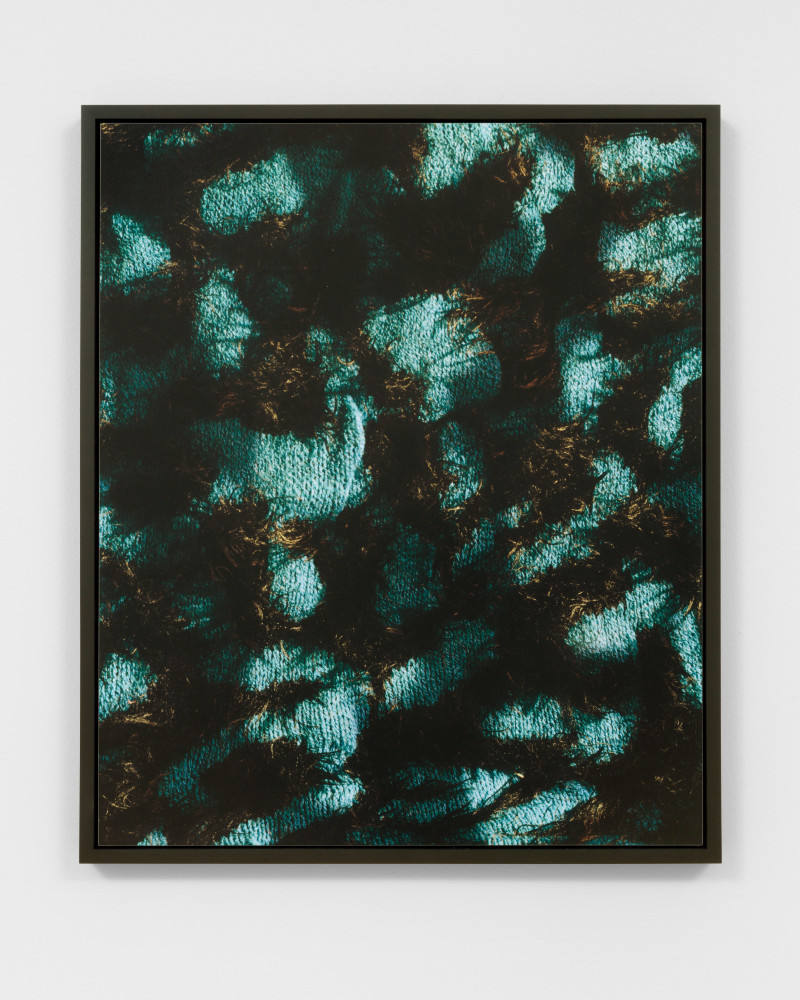 print by Lucas Blalock