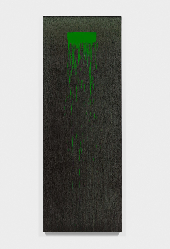 Painting by Pat Steir