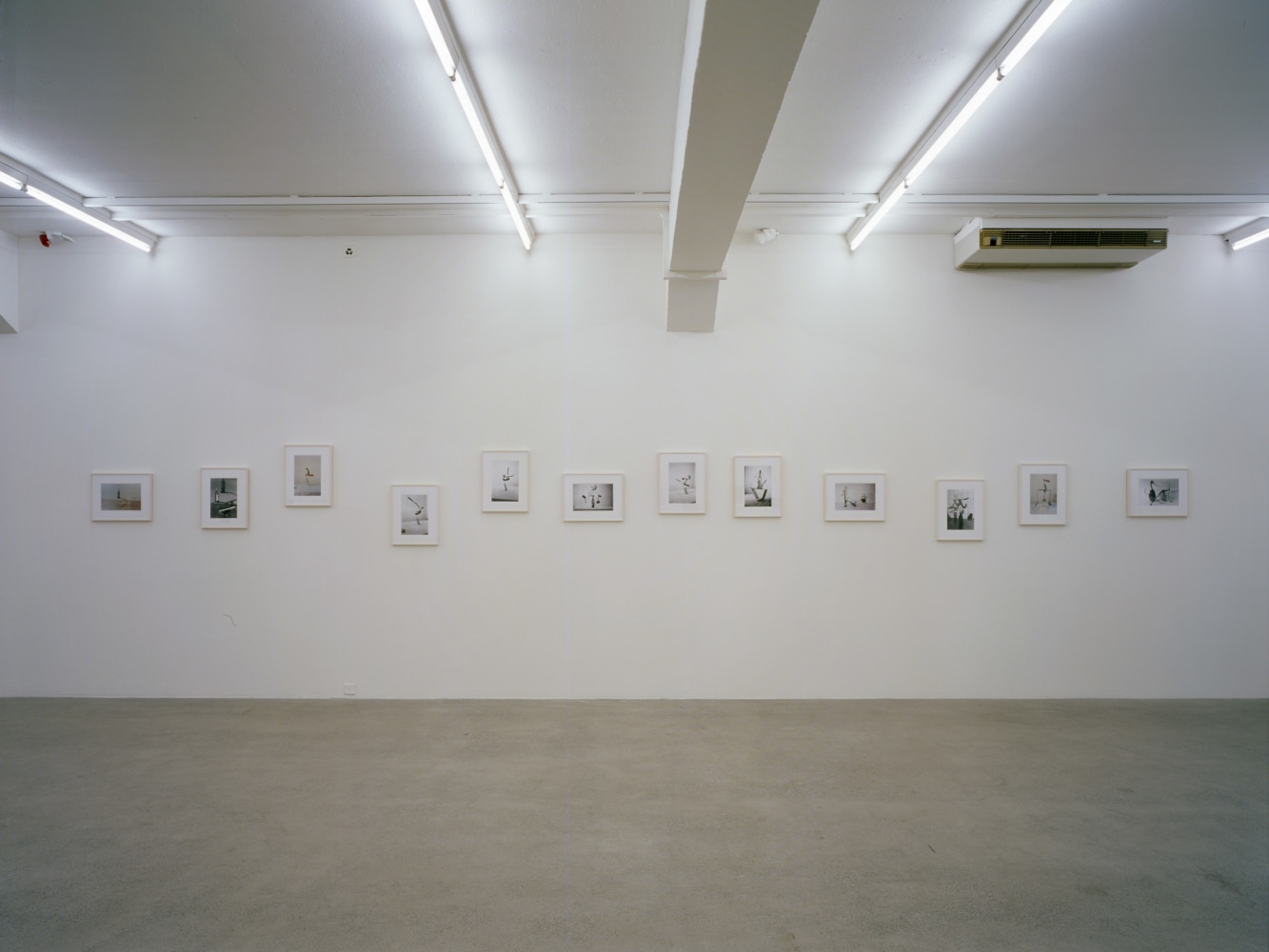Installation view of Peter Fischli David Weiss photography exhibition