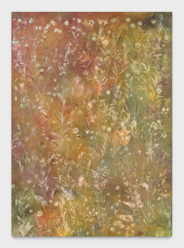 Primary Source

2025

Pigment on canvas

269 x 193 cm / 106 x 76 in

&amp;copy; Sam Falls