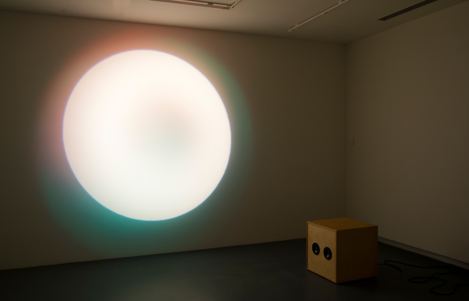 Installation view of sculptures by Angela Bulloch