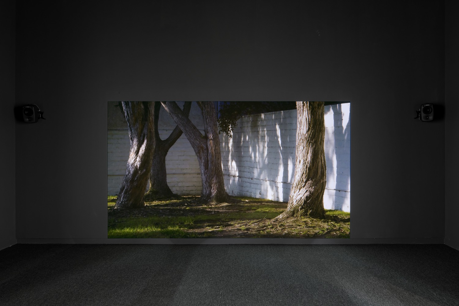 Installation view of photographies by Torbjørn Rødland