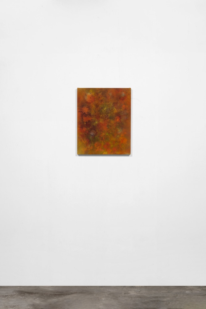 MESA DAHLIAS,&amp;nbsp;2020