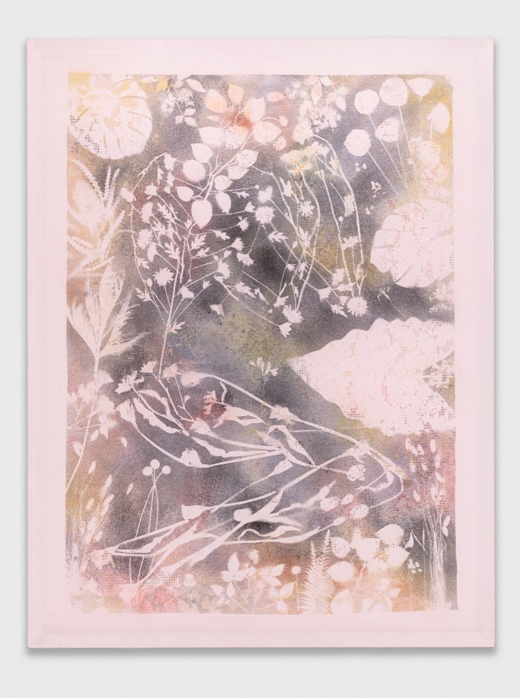 Sleep

2022

Pigment on silk

185.5 x 142 x 3 cm / 73 x 55 7/8 x 1 1/8 in

&amp;copy; Sam Falls