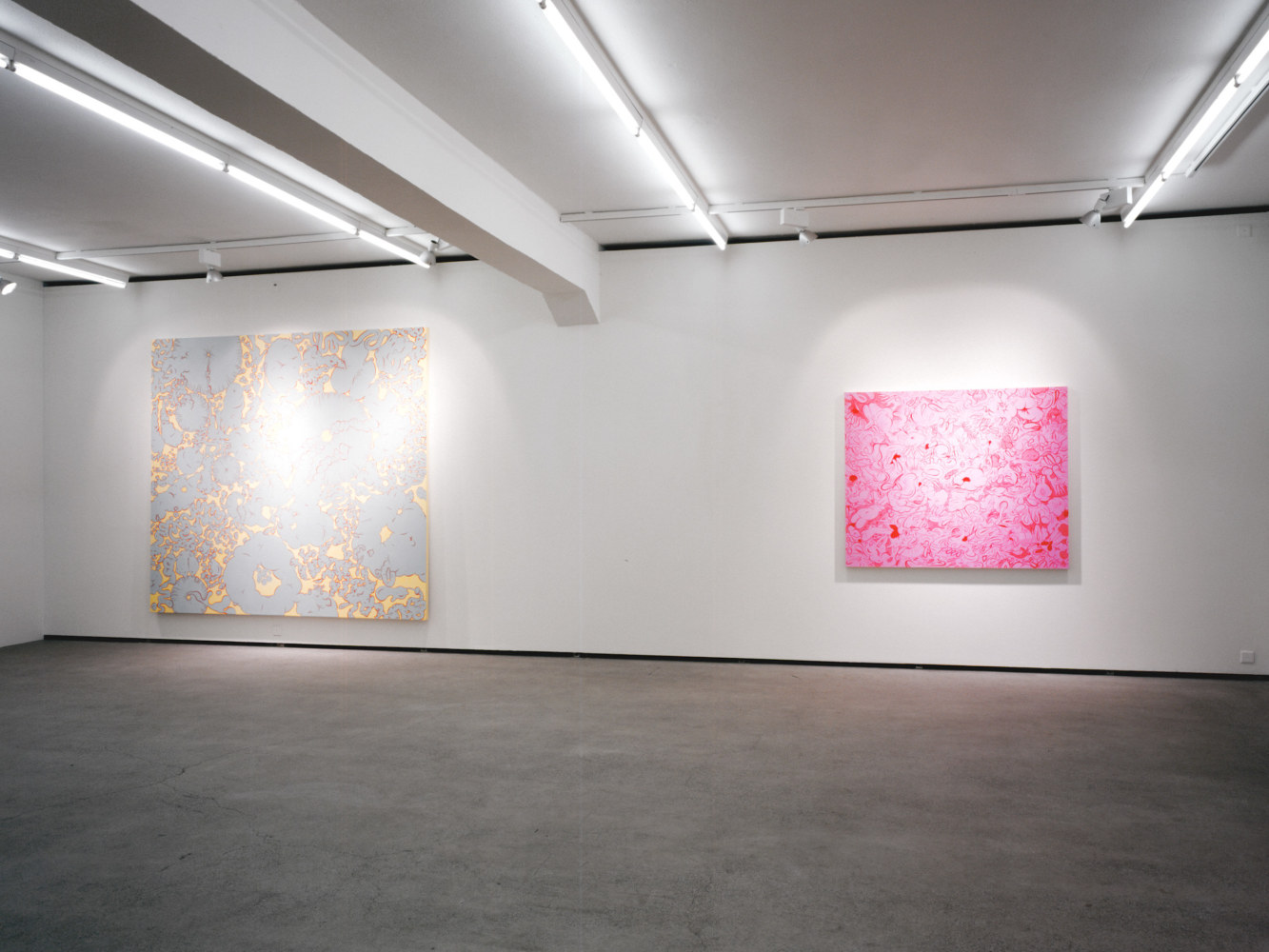 Installation view of Sue Williams painting exhibition