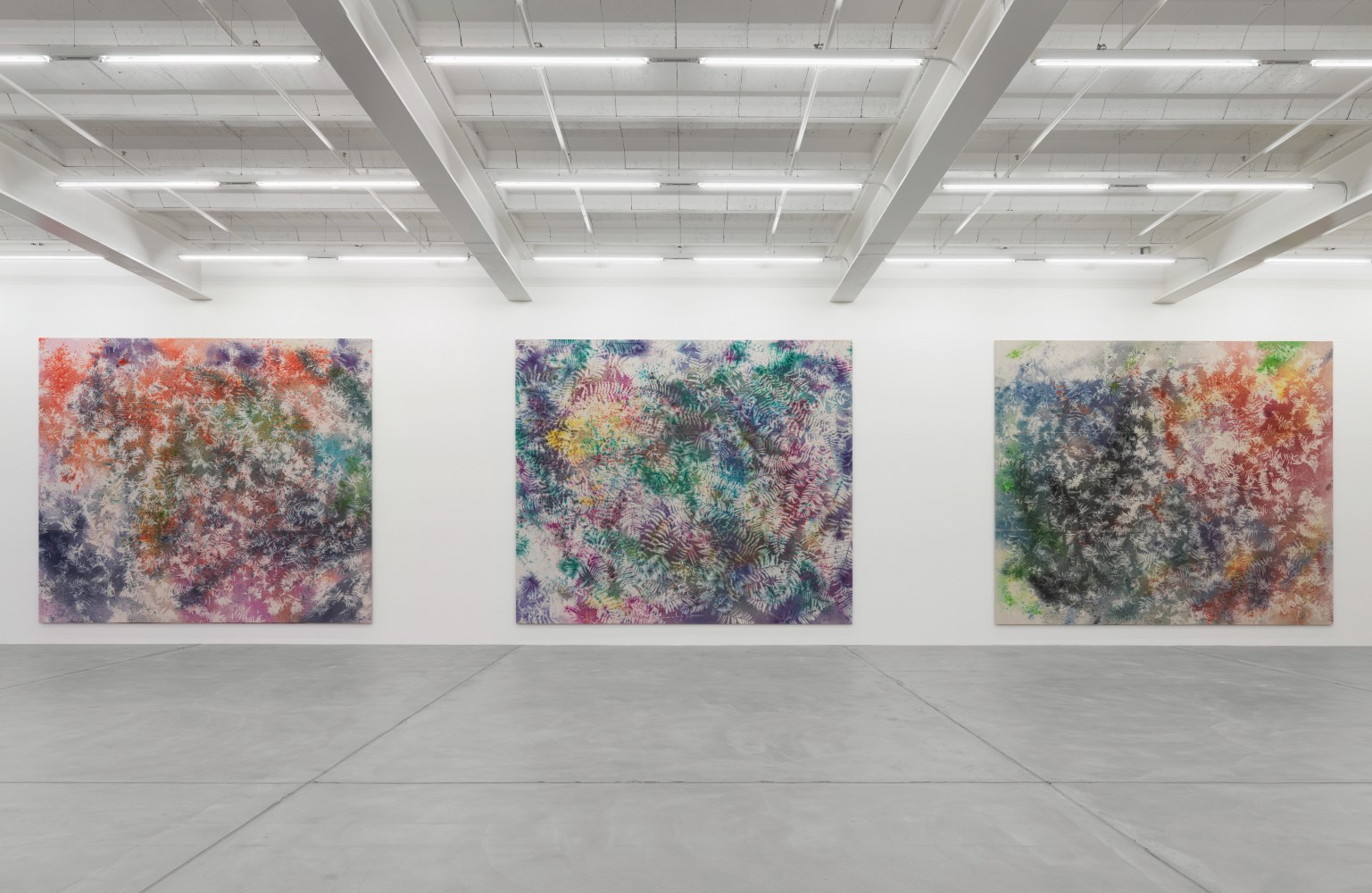 Installation view of Sam Falls paintings exhibition