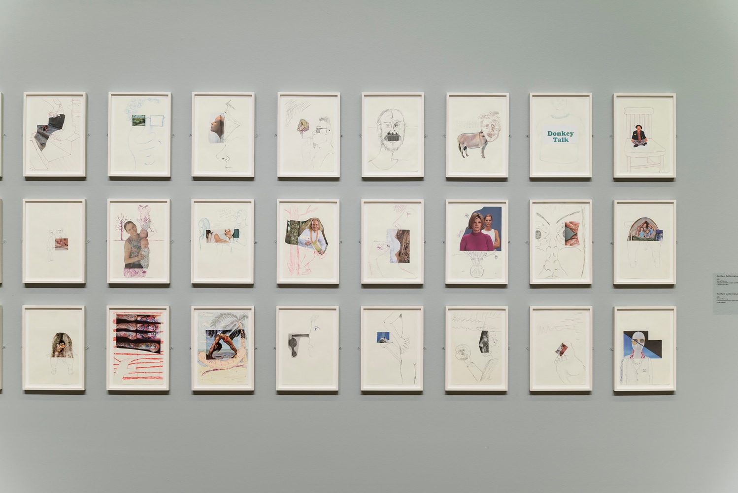 Installation view of paintings by Michael Williams