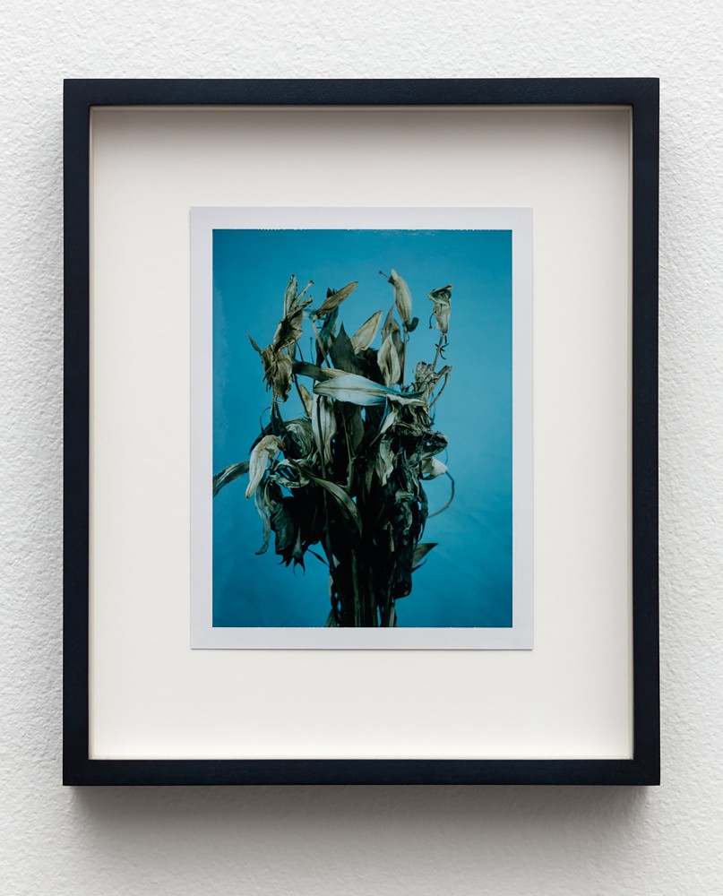 Installation view of works by Sam Falls