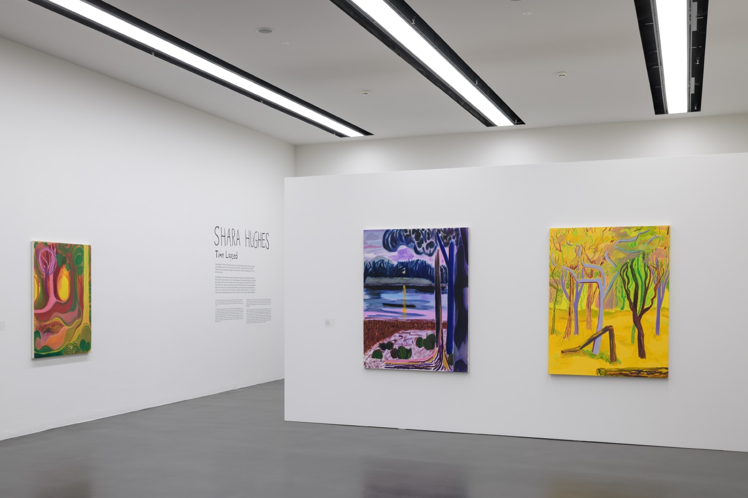 installation view of colorful paintings by Shara Hughes