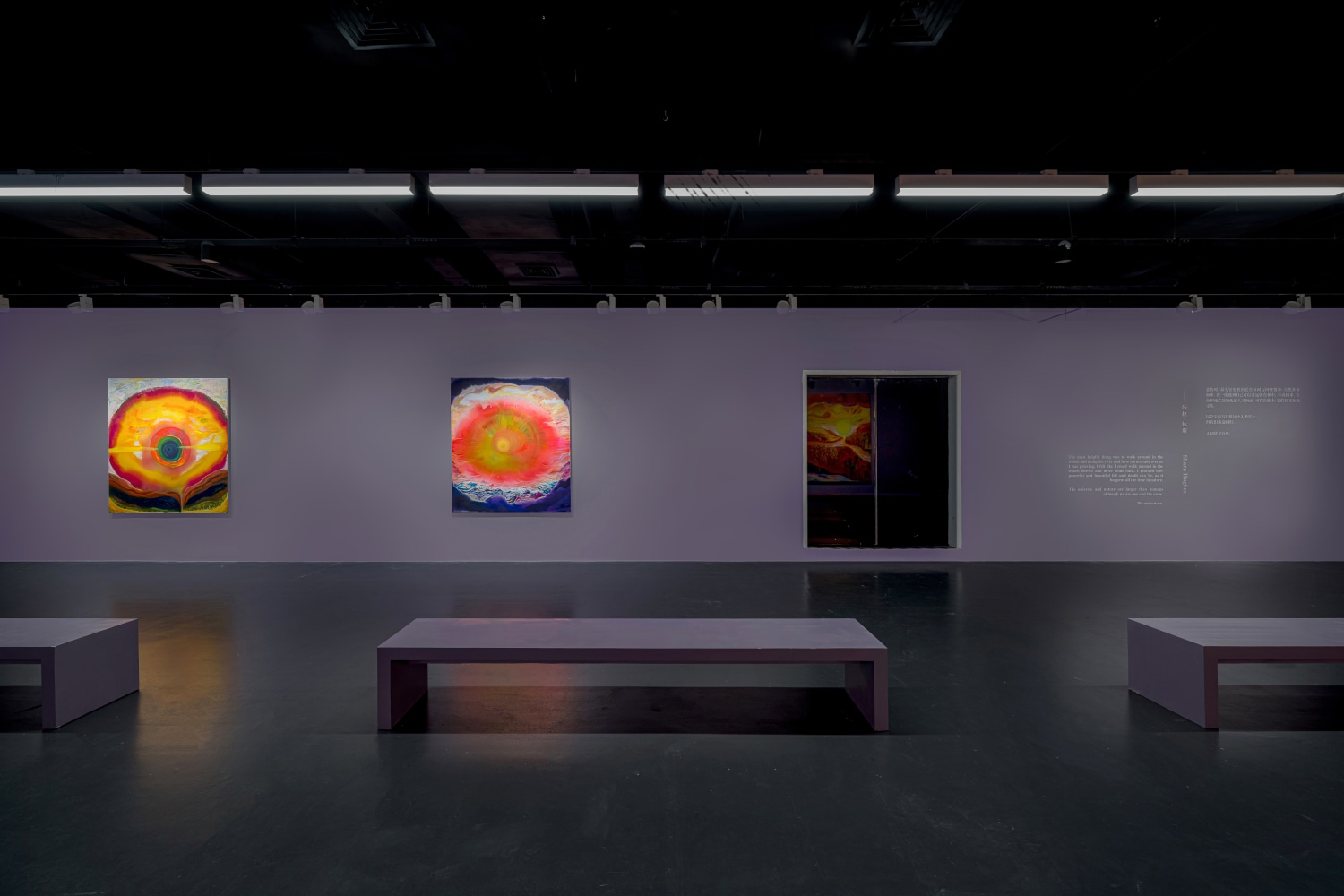 Installation view of Shara Hughes paintings exhibition