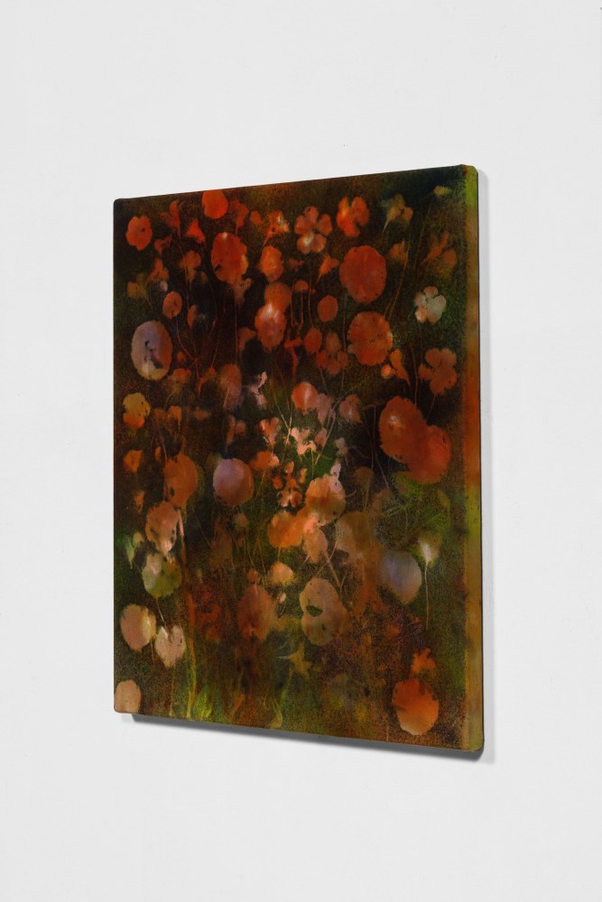 BOLINAS NASTURTIUMS, 2020, Side view