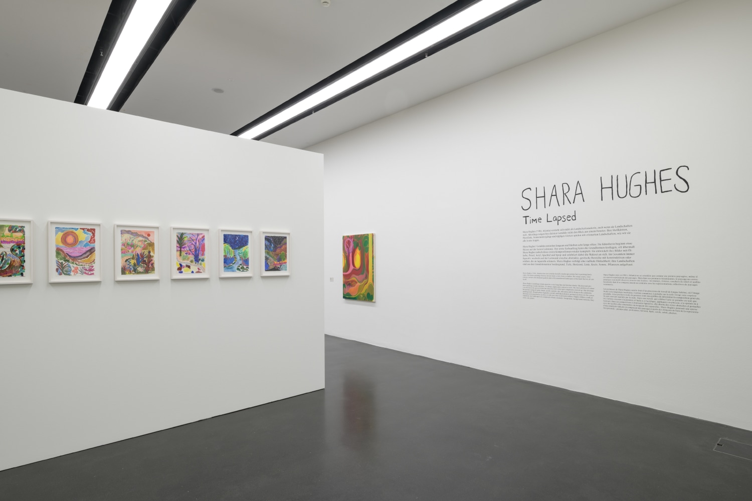 installation view of colorful paintings by Shara Hughes