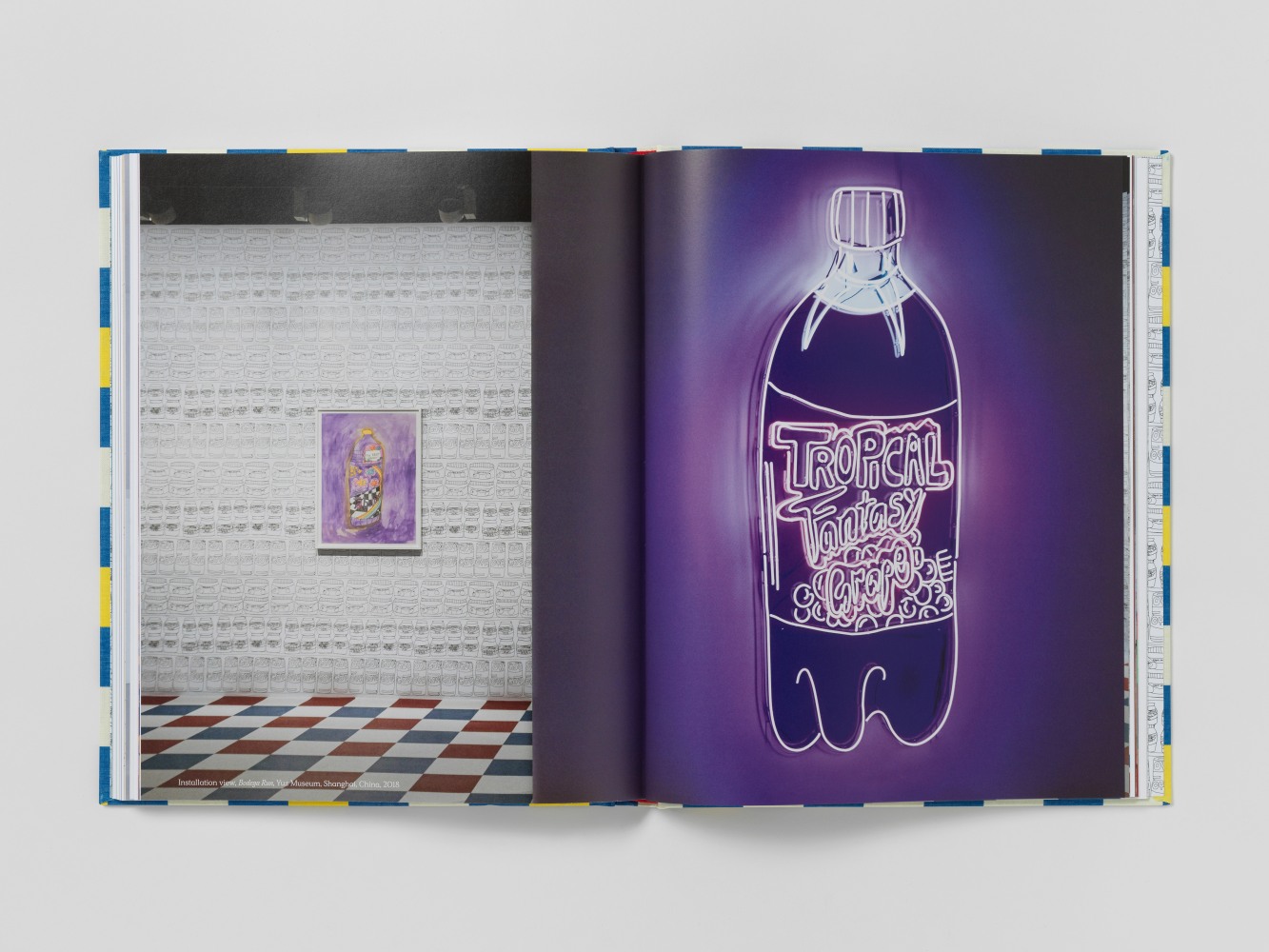 image of publication Bodega Run by Tschabalala Self