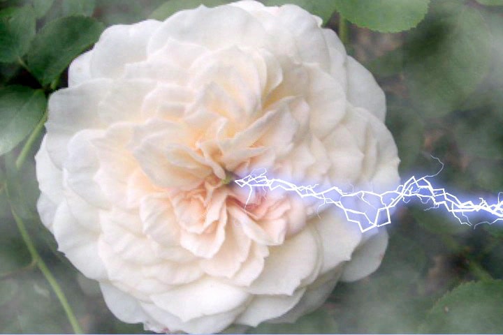 Film still by Trisha Donnelly