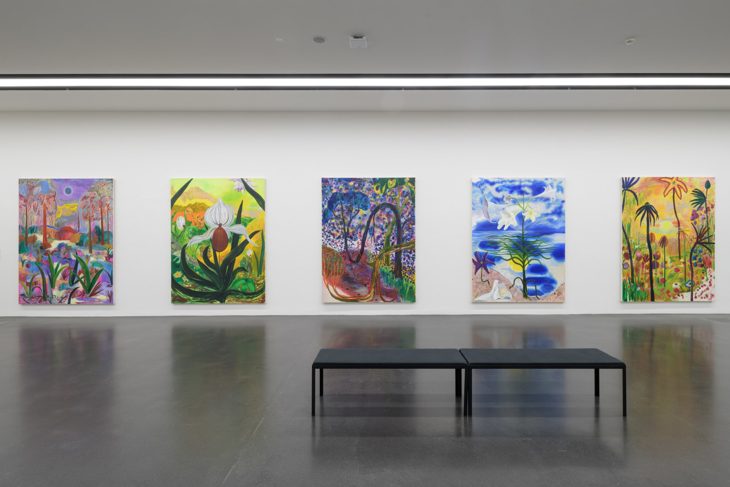 installation view of colorful paintings by Shara Hughes