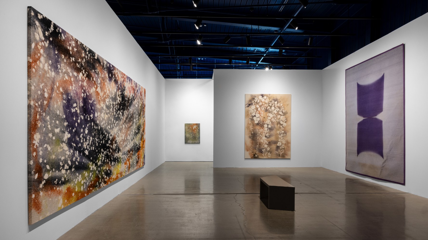 installation view sam falls cleveland