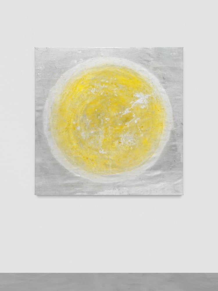 Daylight Moon

2024

Enamel, acrylic and marbling ink on canvas

157.5 x 157.5 cm / 62 x 62 in

&amp;copy; Oscar Tuazon