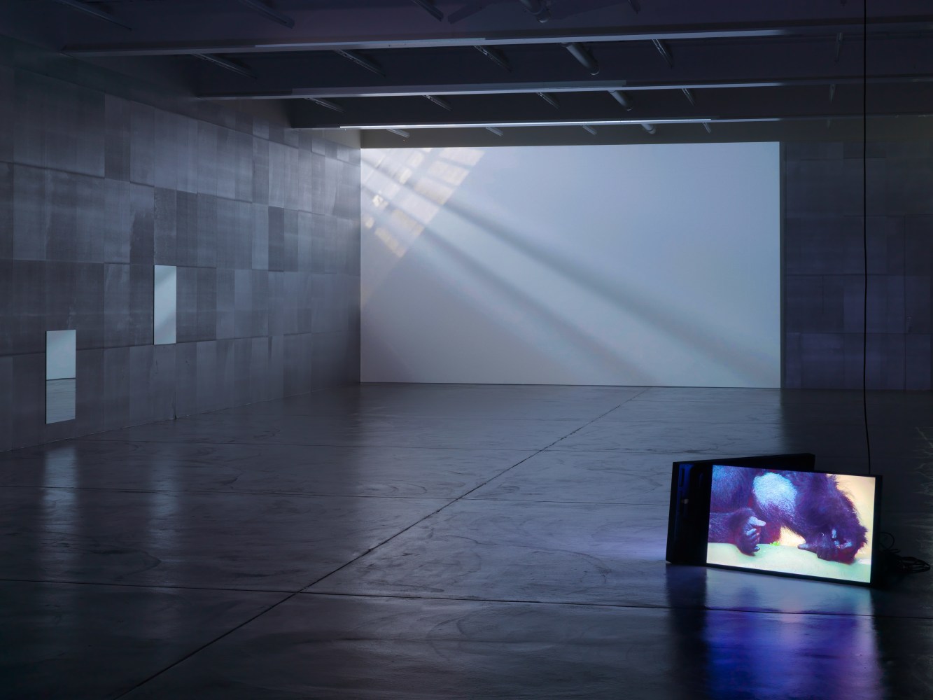Installation view of Douglas Gordon film and installation exhibition