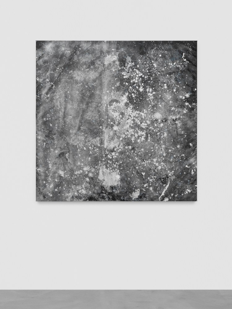 Nightswimmin&amp;#39;

2024

Enamel, acrylic and marbling ink on canvas

152 x 152 cm / 59 7/8 x 59 7/8 in

&amp;copy; Oscar Tuazon