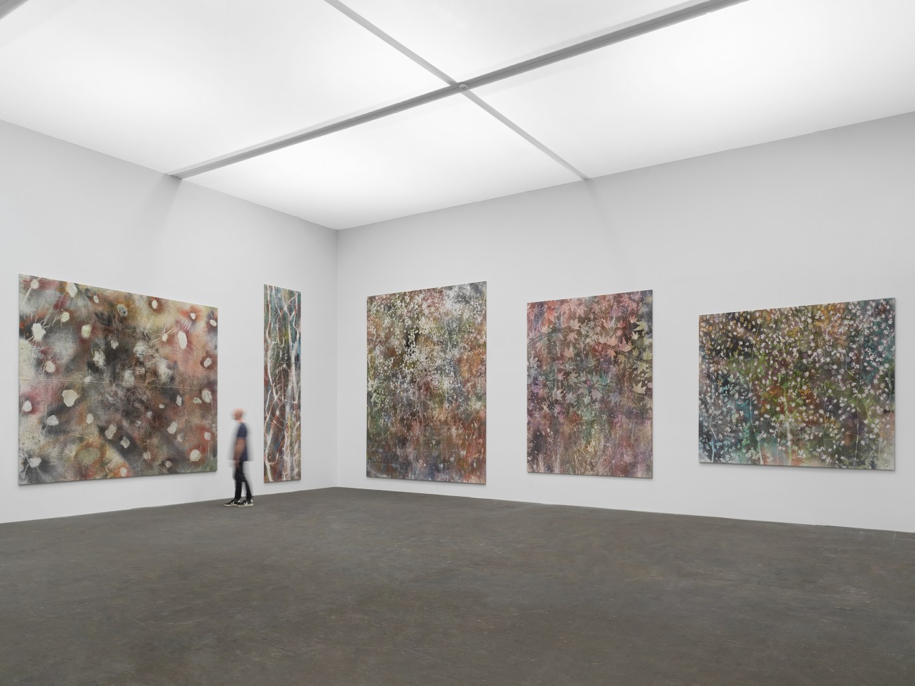 Installation view of paintings by Sam Falls