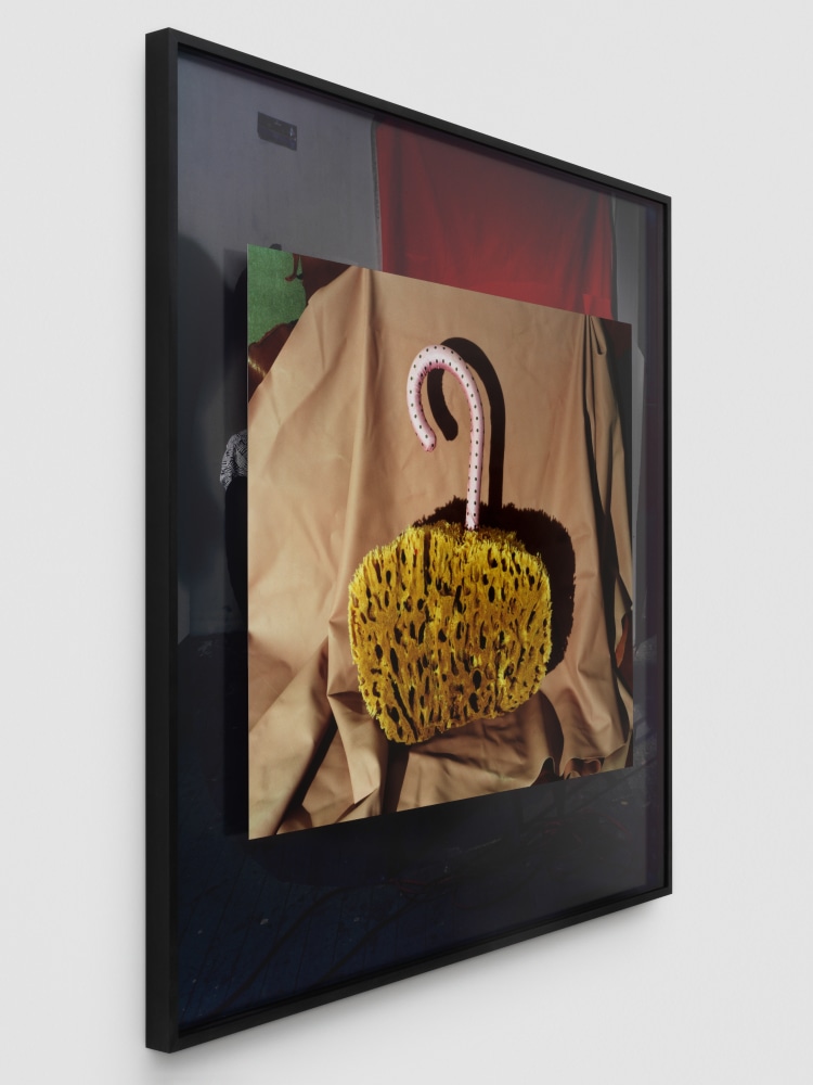 work by lucas blalock