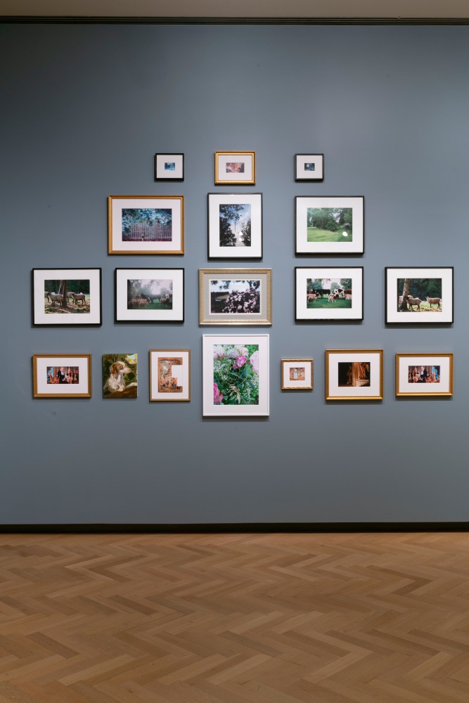 Installation view of drawings and paintings by Karen Kilimnik