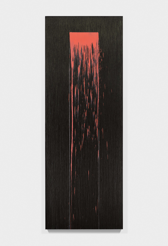 Painting by Pat Steir