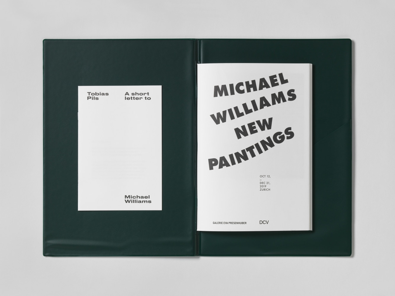 Image of Michael Williams New Paintings publication