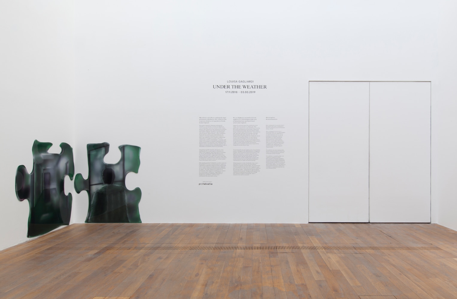 Installation view of paintings by Louisa Gagliardi