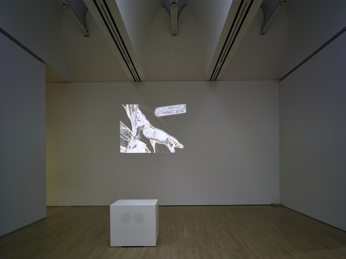 Installation view of works by Trisha Donnelly