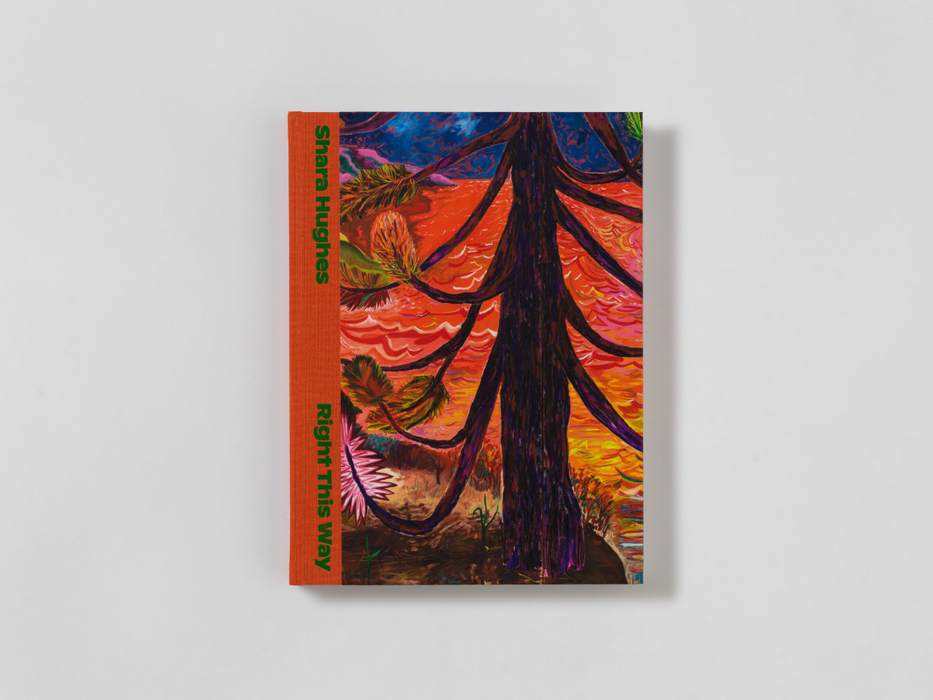 publication Shara Hughes