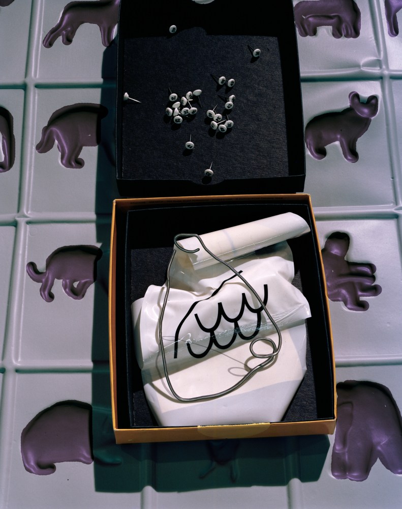 Photograph by Lucas Blalock, After Animals 2 2019 Archival inkjet print; framed 197.5 x 157.5 x 6.5 cm / 77 3/4 x 62 x 2 1/2 in