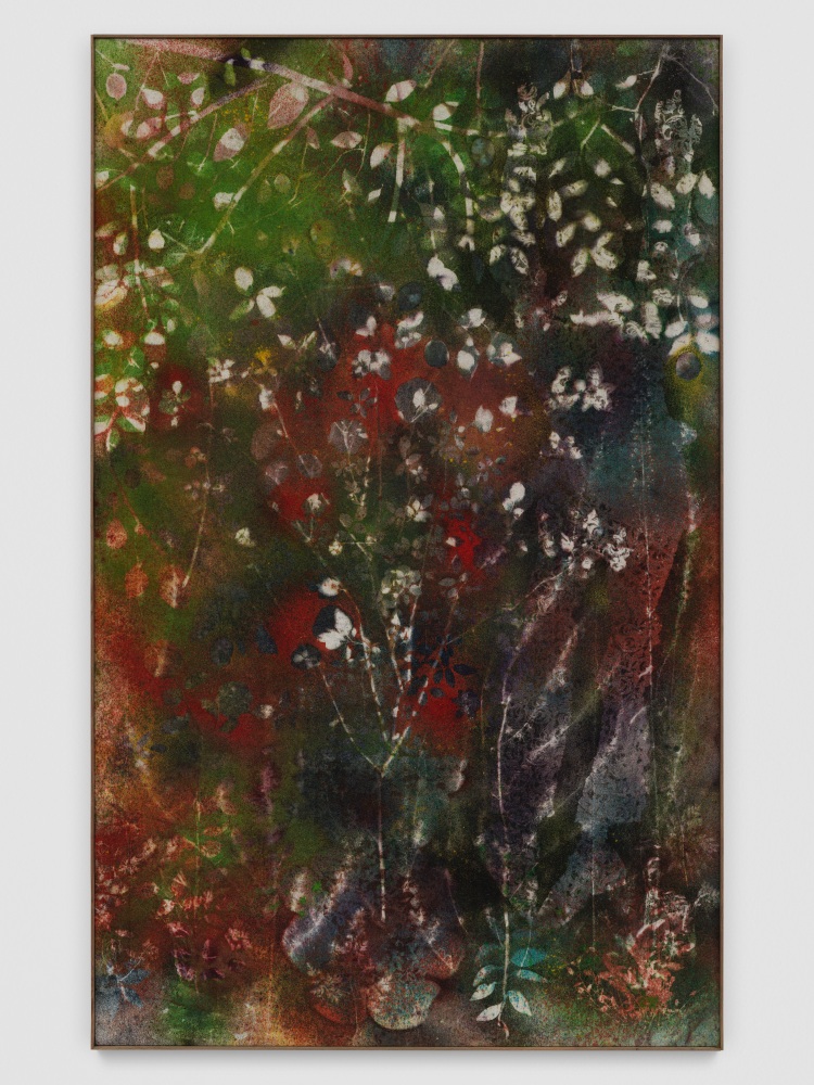 Canvas work by Sam Falls